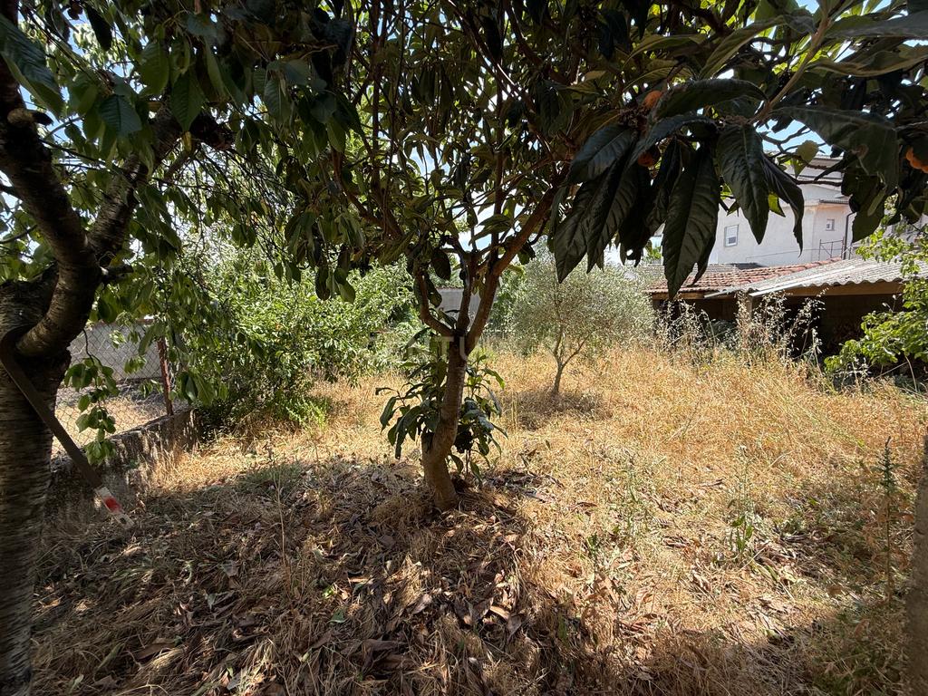 Moradia BI-FAMILIAR perto do IPB e do Centro de Bragança, no Bairro das Cantarias. Tem TERRENO e GARAGEM!!! - Image 30