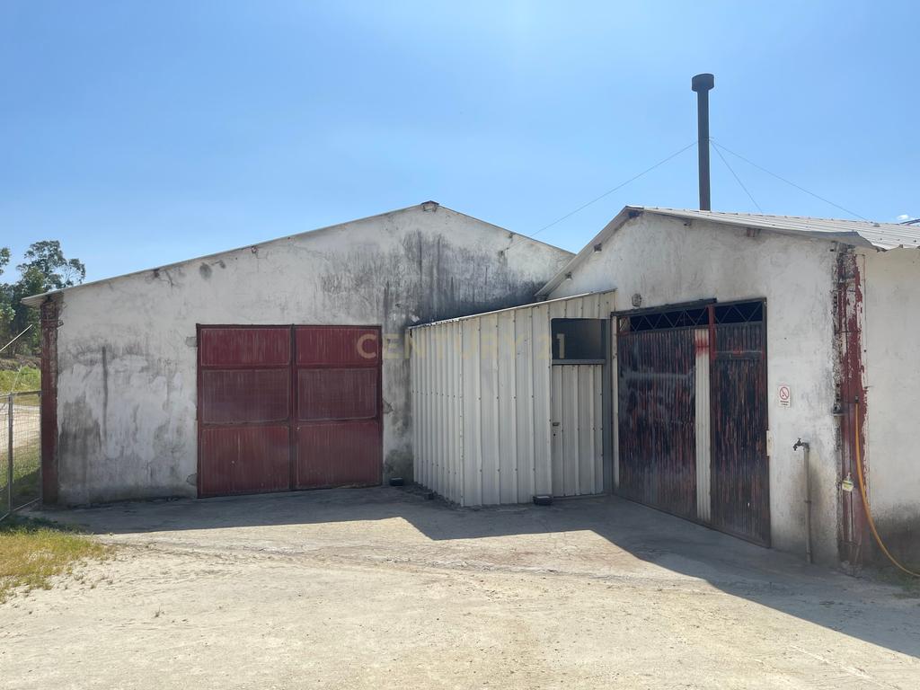 Terreno de 7.500 m² situado próximo ao lago, contendo uma casa a ser restaurada e um aviário automatizado altamente rentável. - Image 33