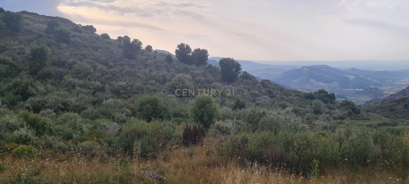 Land for sale in Vila Flor, Portugal — €190,000