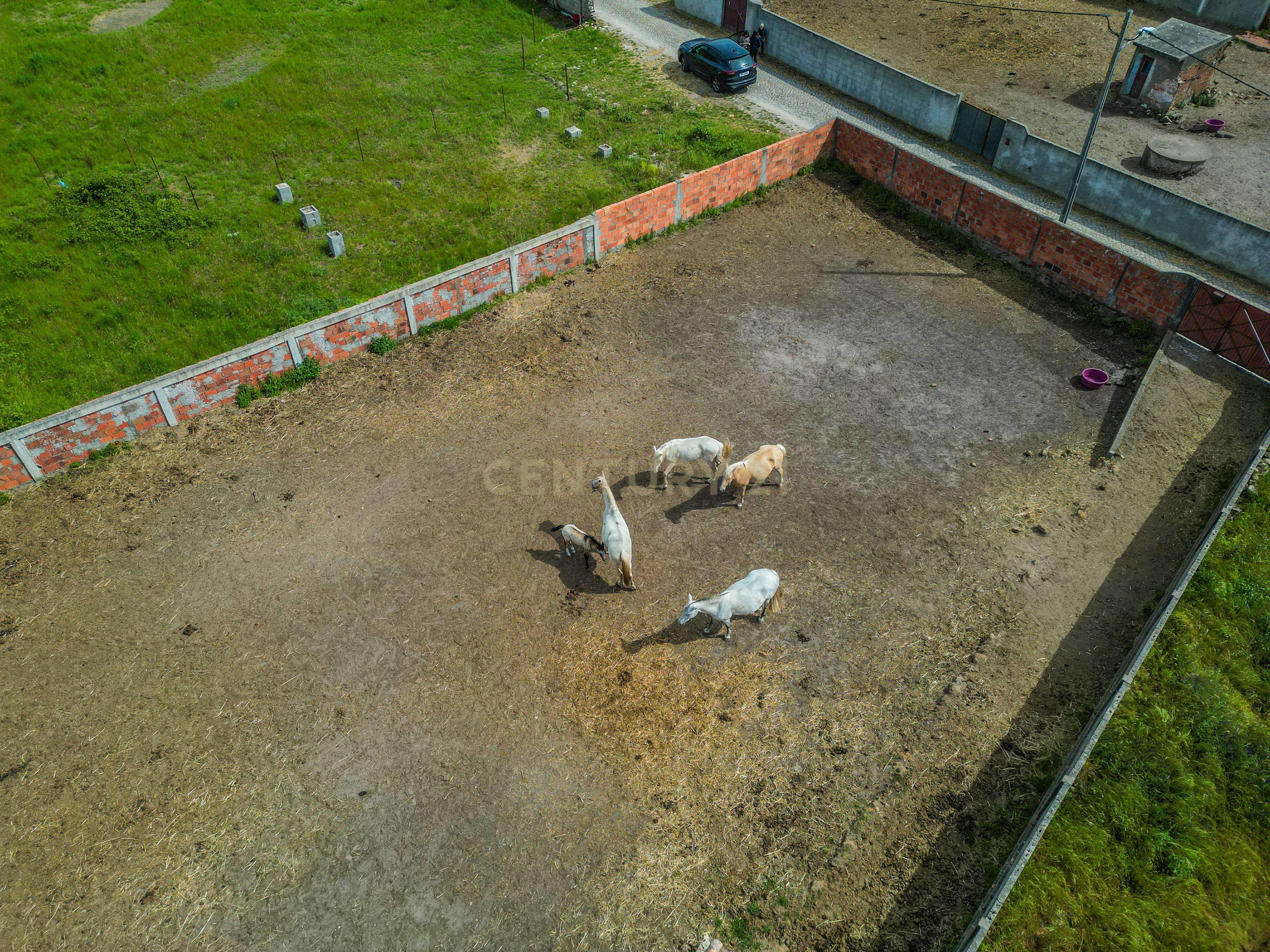 Fotografia 3 de Terreno com 740 m² para construção em Vieira de Leiria