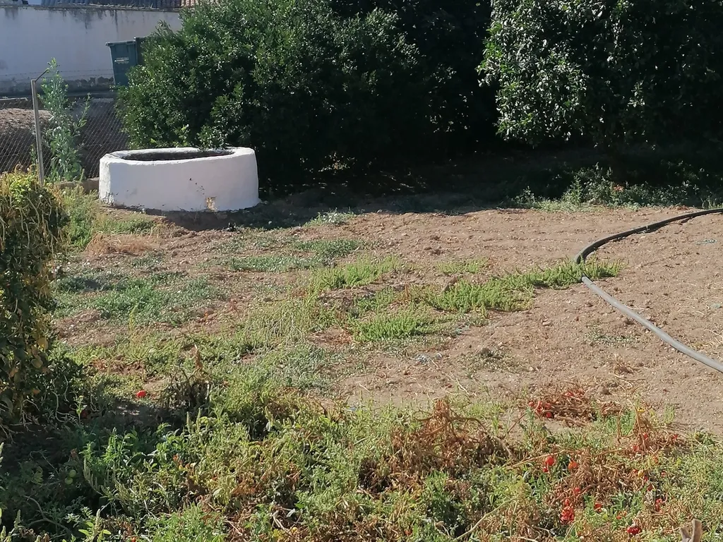 ALBERNOA-BEJA - ALENTEJO- Quinta com 1750 m2. Casa de 229 m2 Cozinha-Sala -3 quartos . Garagem. - Image 41