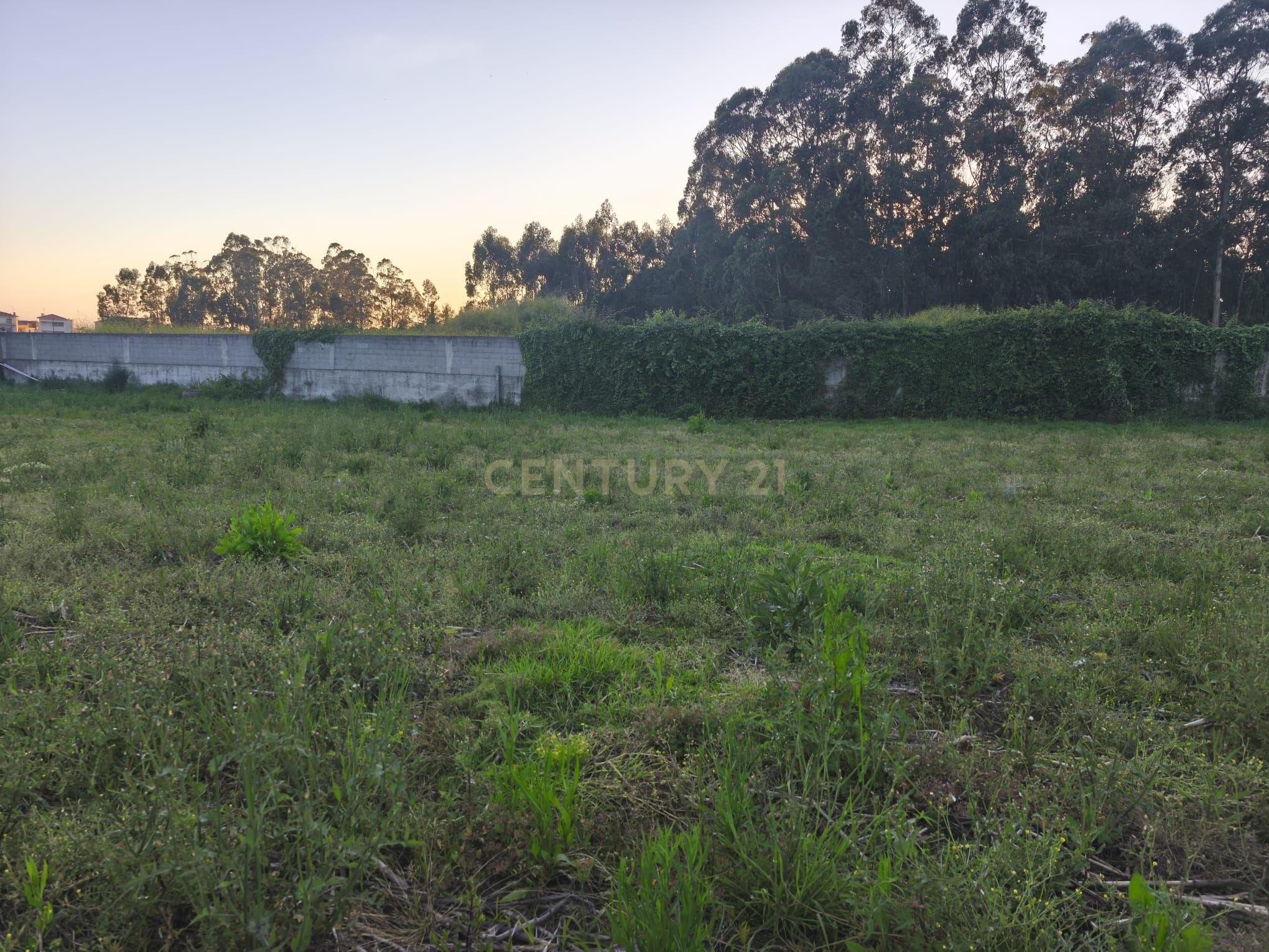 Fotografia 9 de Quer construir uma moradia à sua medida perto da Póvoa de Varzim?