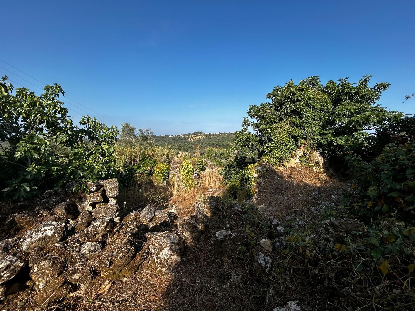 Fotografia 3 de Terreno com ruínas Recuperar em Além da Ribeira, Tomar