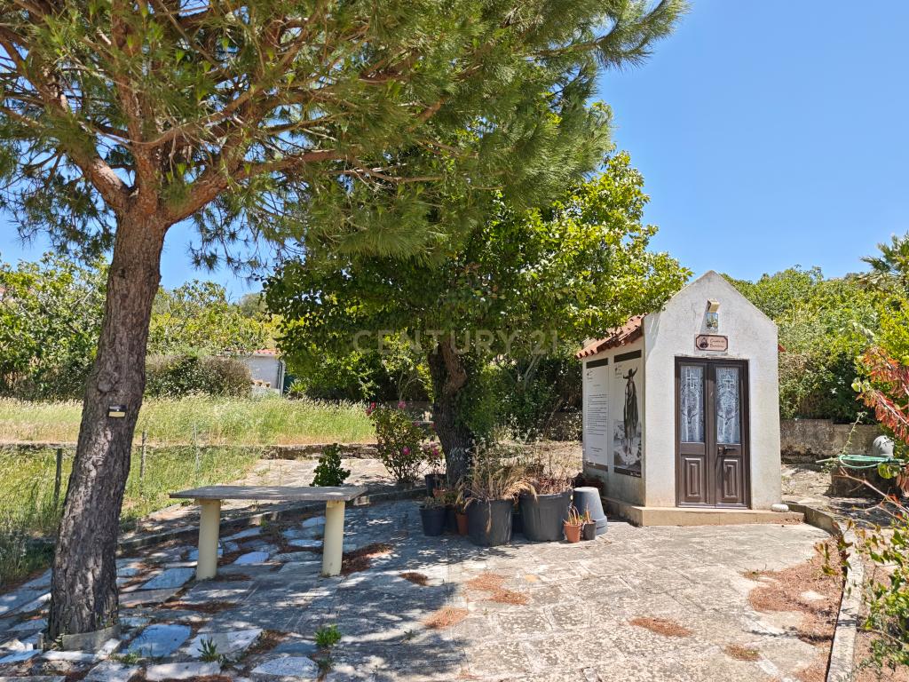 Moradia T4 em Quinta de 1950 com piscina e terra fértil - Image 23