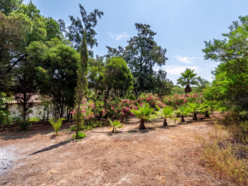Moradia inserida em terreno com 3.560m2 a 5 minutos das Praias da Marinha, Benagil e Albandeira - Image 26