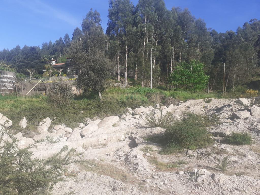 Terreno para construção - Torrão - Marco de Canaveses - Image 16