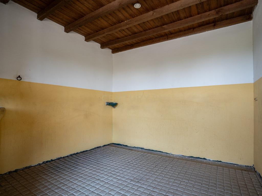 Quinta Equestre a 45 minutos de Lisboa - Image 14