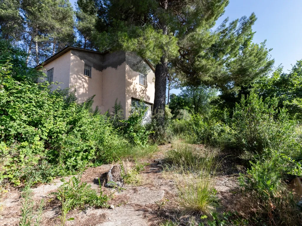 - Image 7
