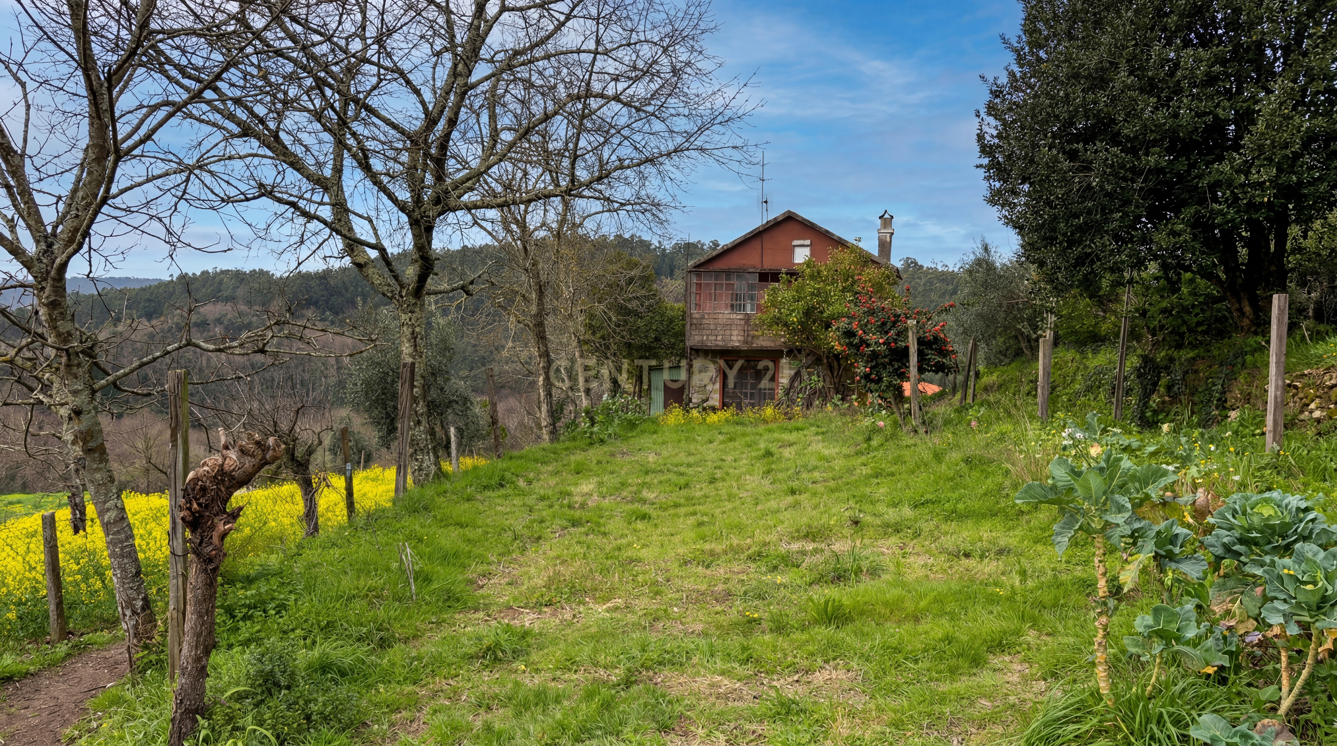 Moradia T3 para Reabilitar – Oportunidade de Turismo Rural em Arouca