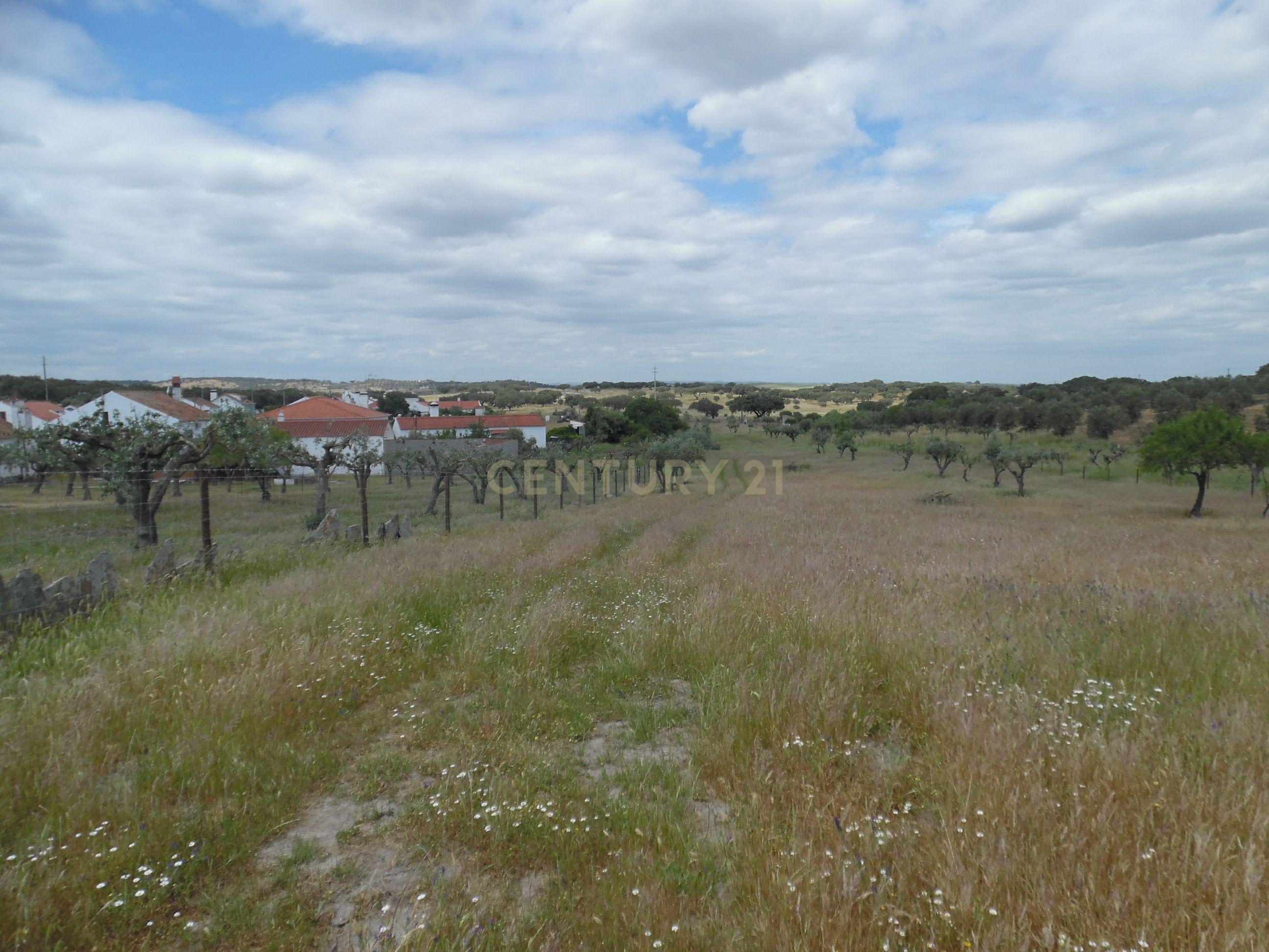 Moradia T3 à venda em Capelins (Santo António), Alandroal — foto 29