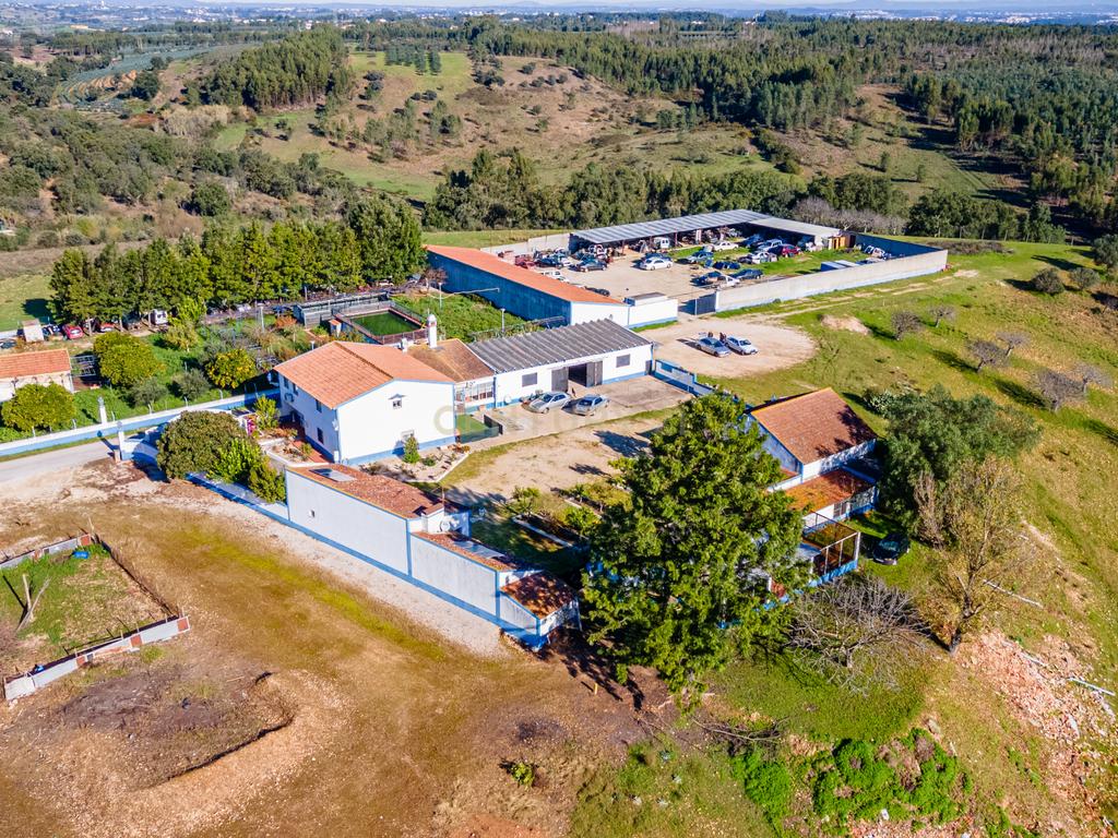 Quinta com 25.800M2 com moradia T6 em Casével, Santarém. - Image 41