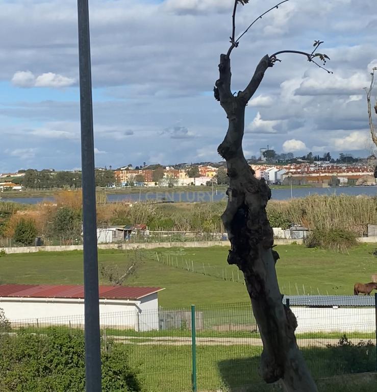 Oportunidade de Negócio - T1 em Alhos Vedros, perto de todos os serviços - Image 3
