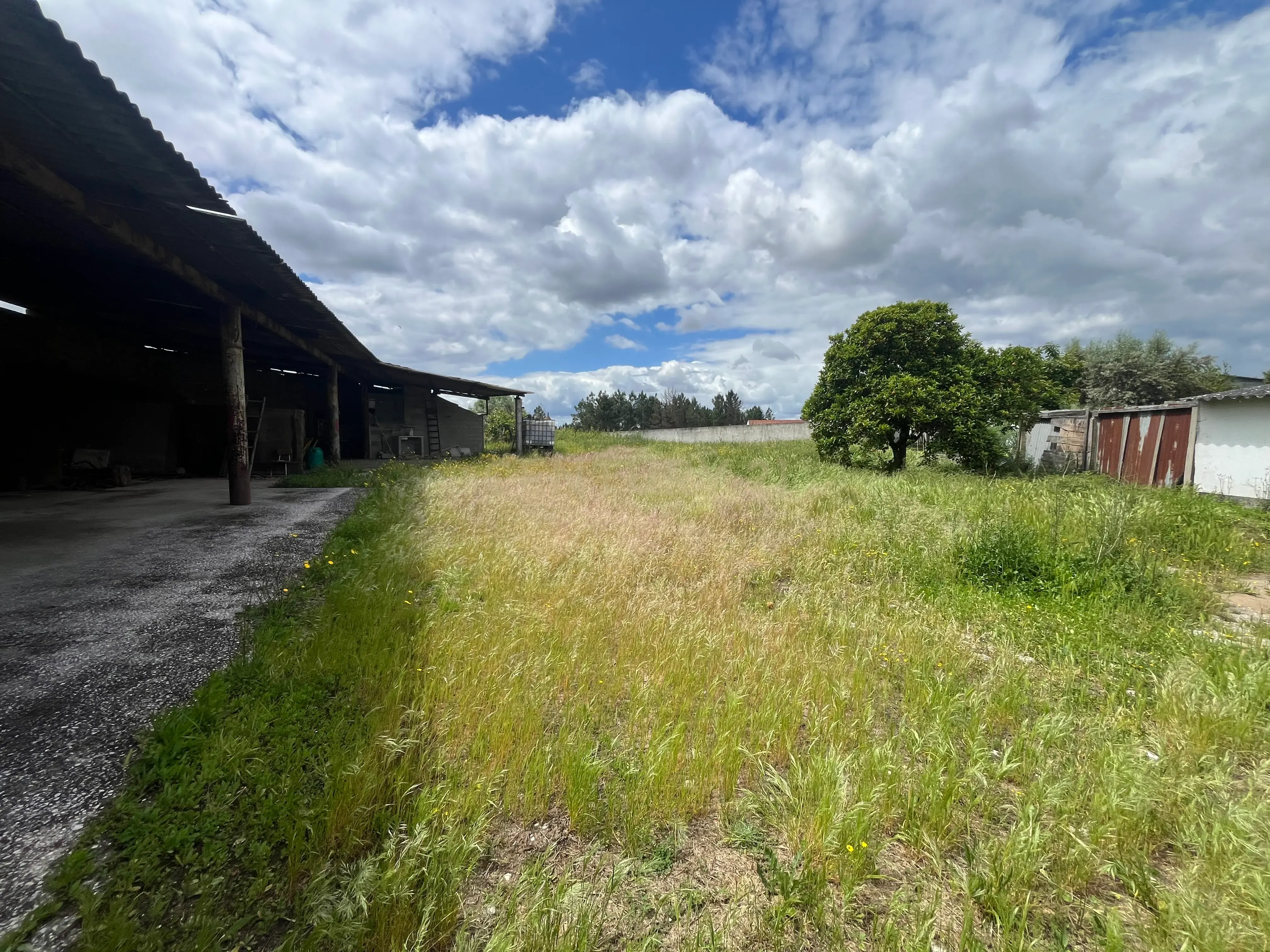 Terreno Urbano com Vista para Serra em Abrantes - Image 8