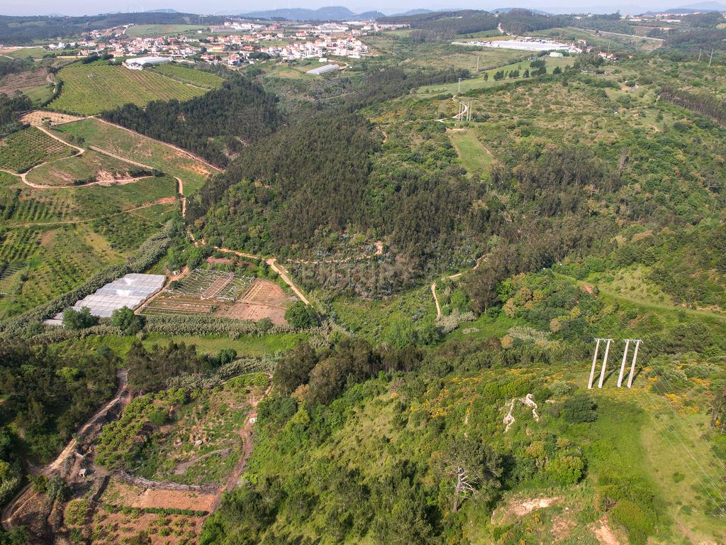 Terreno Rústico com mais de 1.5 Hectares em Mafra – Vista Linda e Perto da Ericeira! - Image 6