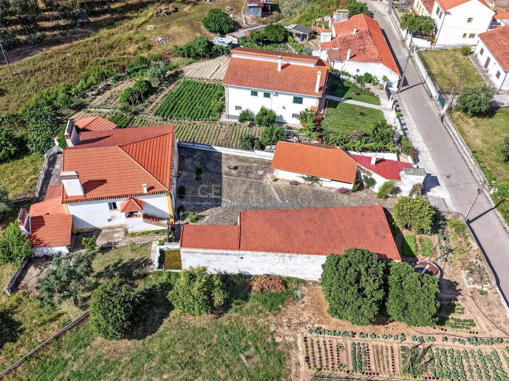 Encantadora Moradia em Tramagal, Abrantes - 5 Quartos - Image 32