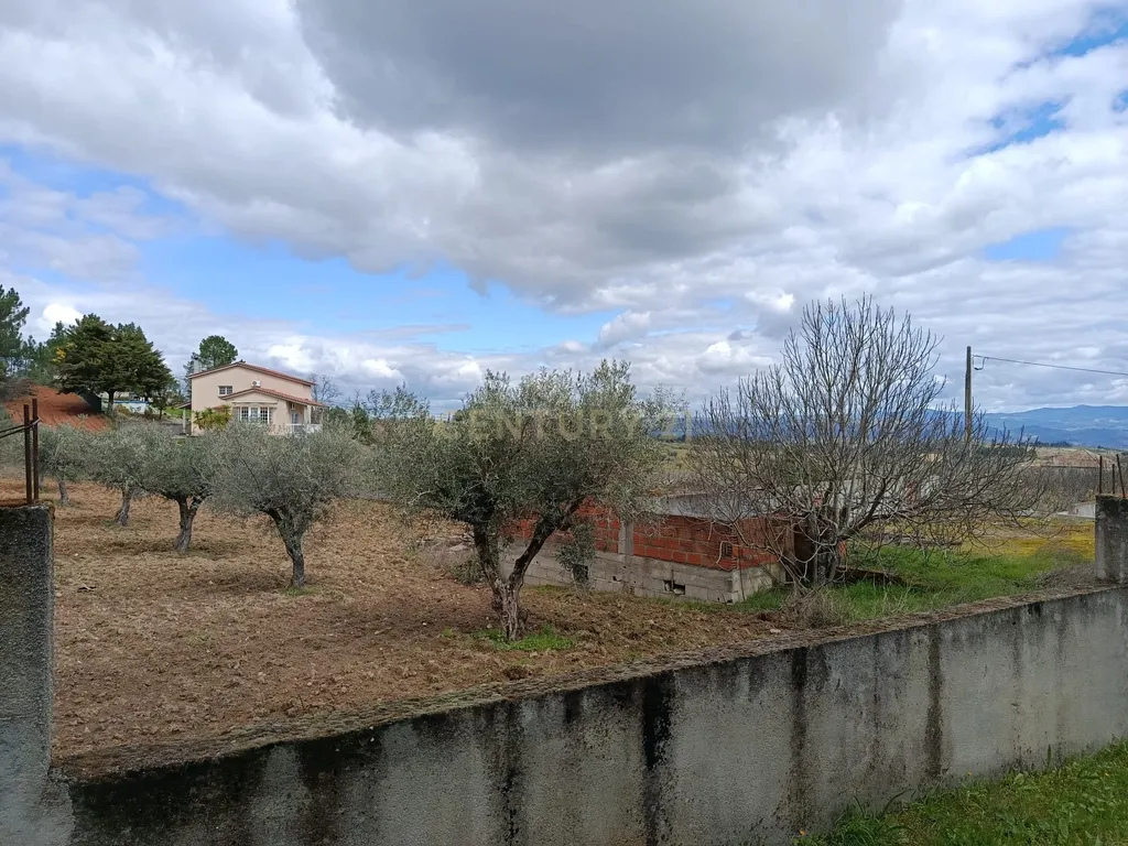 Terreno para Construção em Vale de Gouvinhas - Mirandela - Image 7