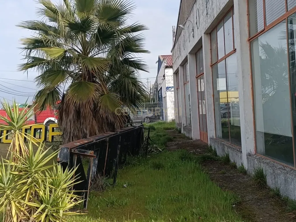 Espetacular Propriedade em Caia, Elvas - 574m² por 315.000€ - Image 3