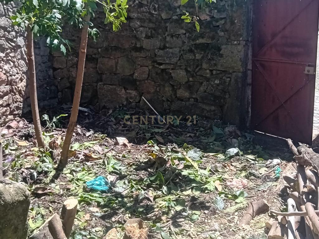 Ruina para recuperação, Alcains, Castelo Branco - Image 7