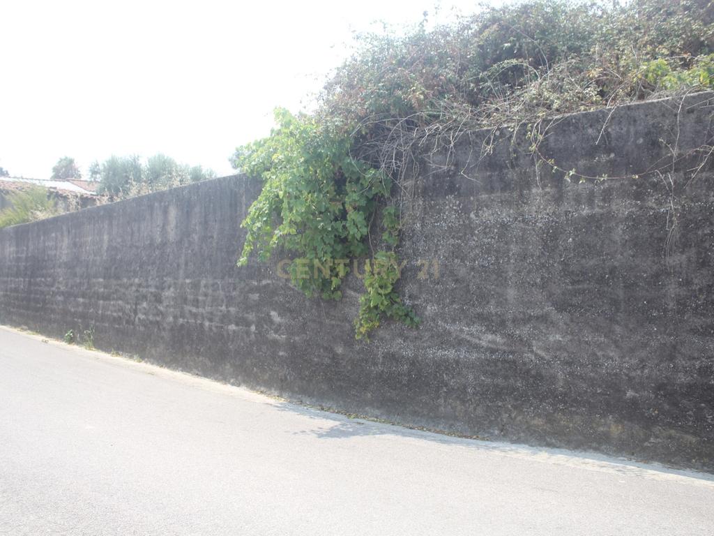 Ruína com Potencial em Moçarria, Santarém - Image 8