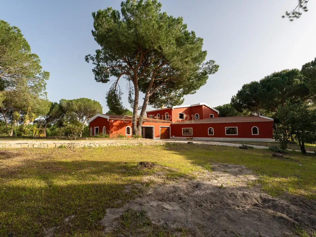 Fabulosa Quinta com lote de terreno de 22.381 m2, onde se encontra inserida uma moradia composta por dois pisos, com uma área bruta de 623 m2, uma área útil de 304 m2 e uma área bruta dependente de 319 m2, localizada em Santo Isidro de Pegões, na zona de Pegões, a pouca distância das belas praias de Setúbal. - Image 84