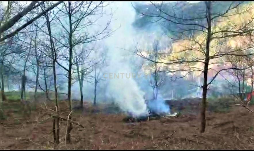 Quinta com moradia em Gondar, perto da Amarante, Porto à face da estrada com muito terreno e água - Image 35