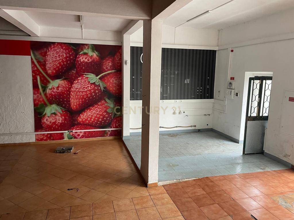 UMA OPORTUNIDADE ÚNICA NO CORAÇÃO DO ALENTEJO - Image 5