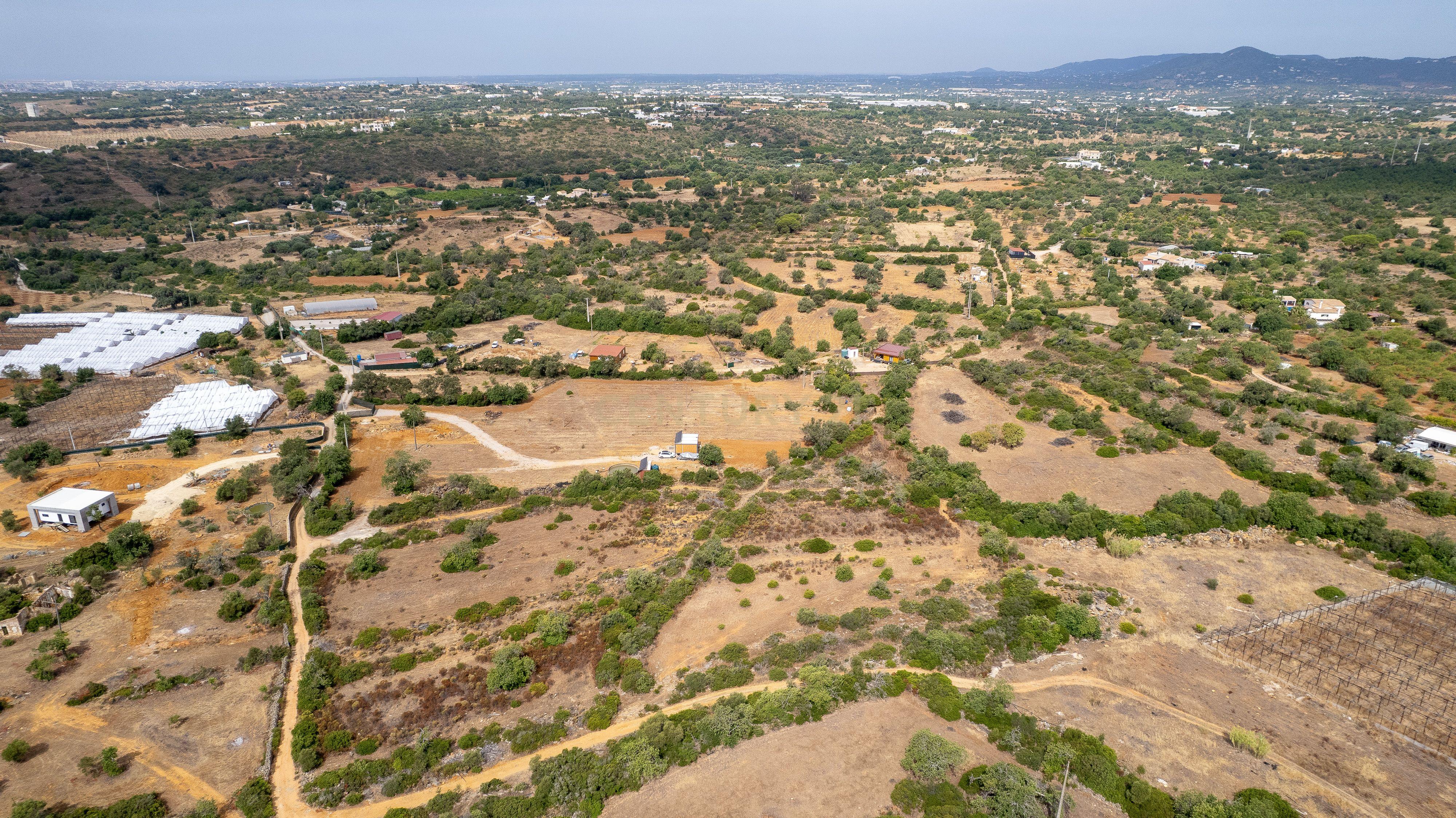 Fotografia 7 de Terreno Rústico de 3.650 m² entre Pechão e Estoi