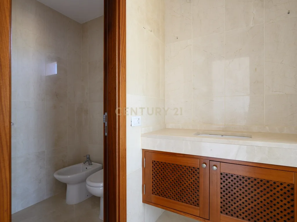 - Image 12