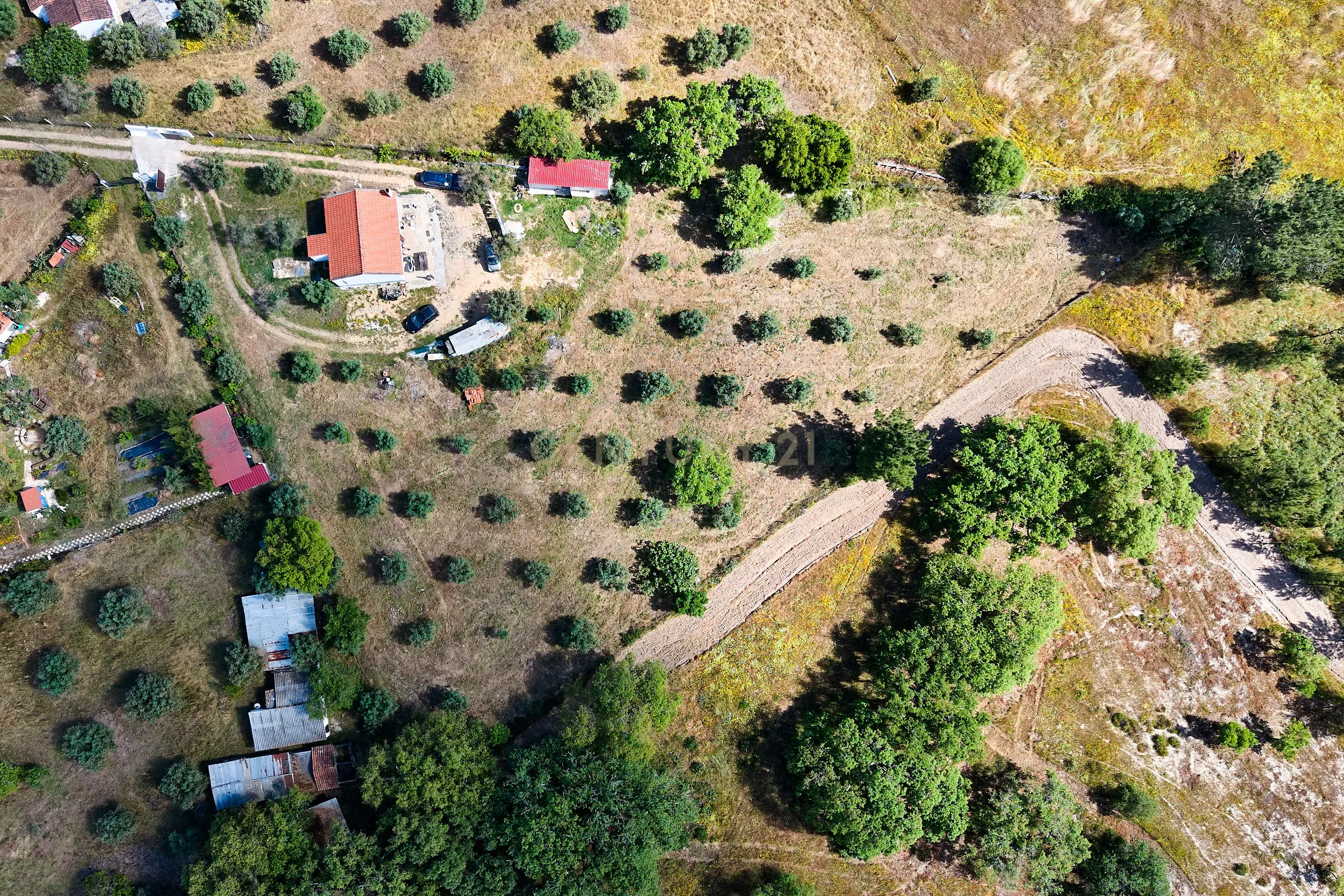 Viva o autêntico Alentejo – Seu refúgio em Ermidas do Sado - Cova do Gato espera por si - Image 36