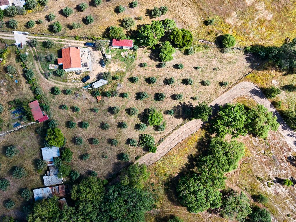 Viva o autêntico Alentejo – Seu refúgio em Ermidas do Sado - Cova do Gato espera por si - Image 36