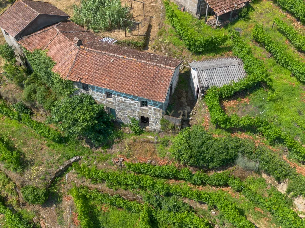 Quintinha com 2 casas em pedra para recuperar + 2 terrenos com vinhas-( 8.210m2 ) -Douro Vinhateiro! - Image 11