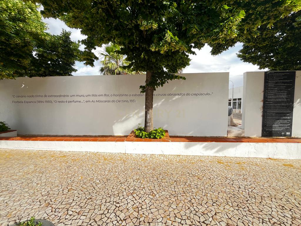 Café em Vila Viçosa - Excelente Oportunidade de Negócio - Image 22
