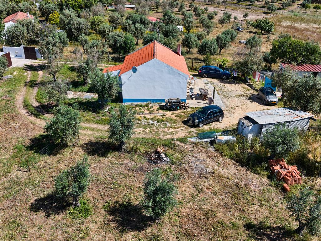 Viva o autêntico Alentejo – Seu refúgio em Ermidas do Sado - Cova do Gato espera por si - Image 24