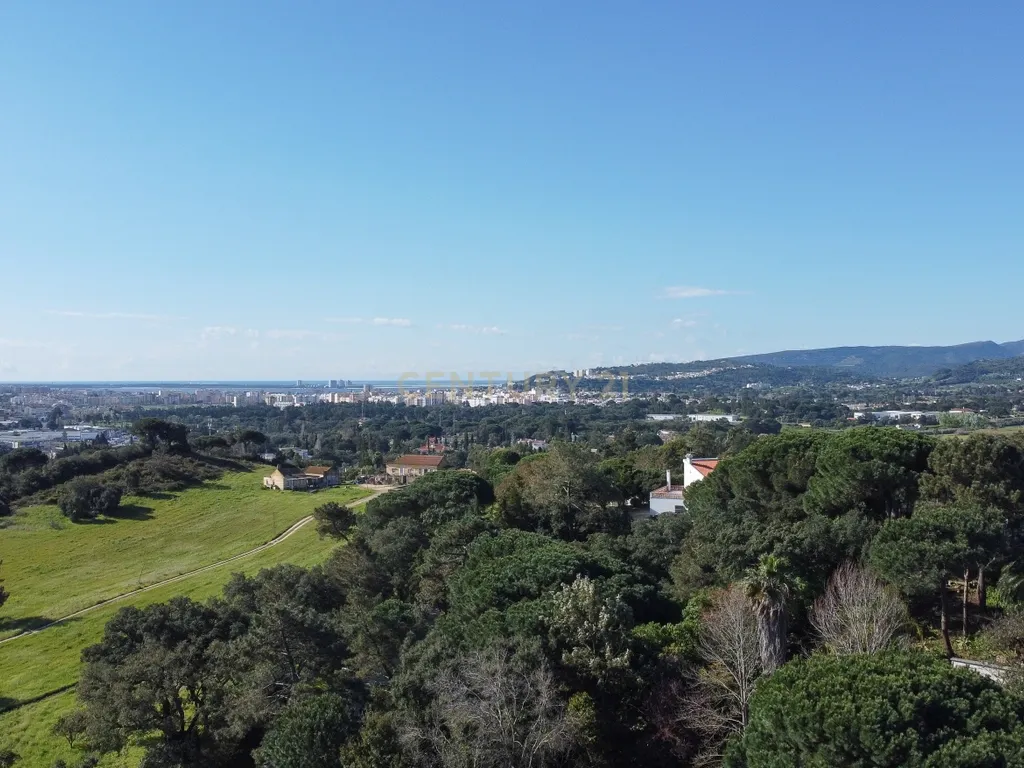 🏡 Terreno para Construção – 2.746 m² | Oportunidade Única Perto de Setúbal! 🌿 - Image 49