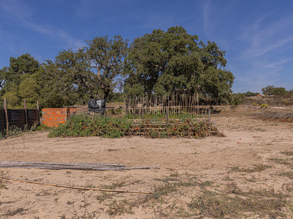 Quinta Rural T3, c/ Terreno 16,775ha, Melides, Grândola - Image 24