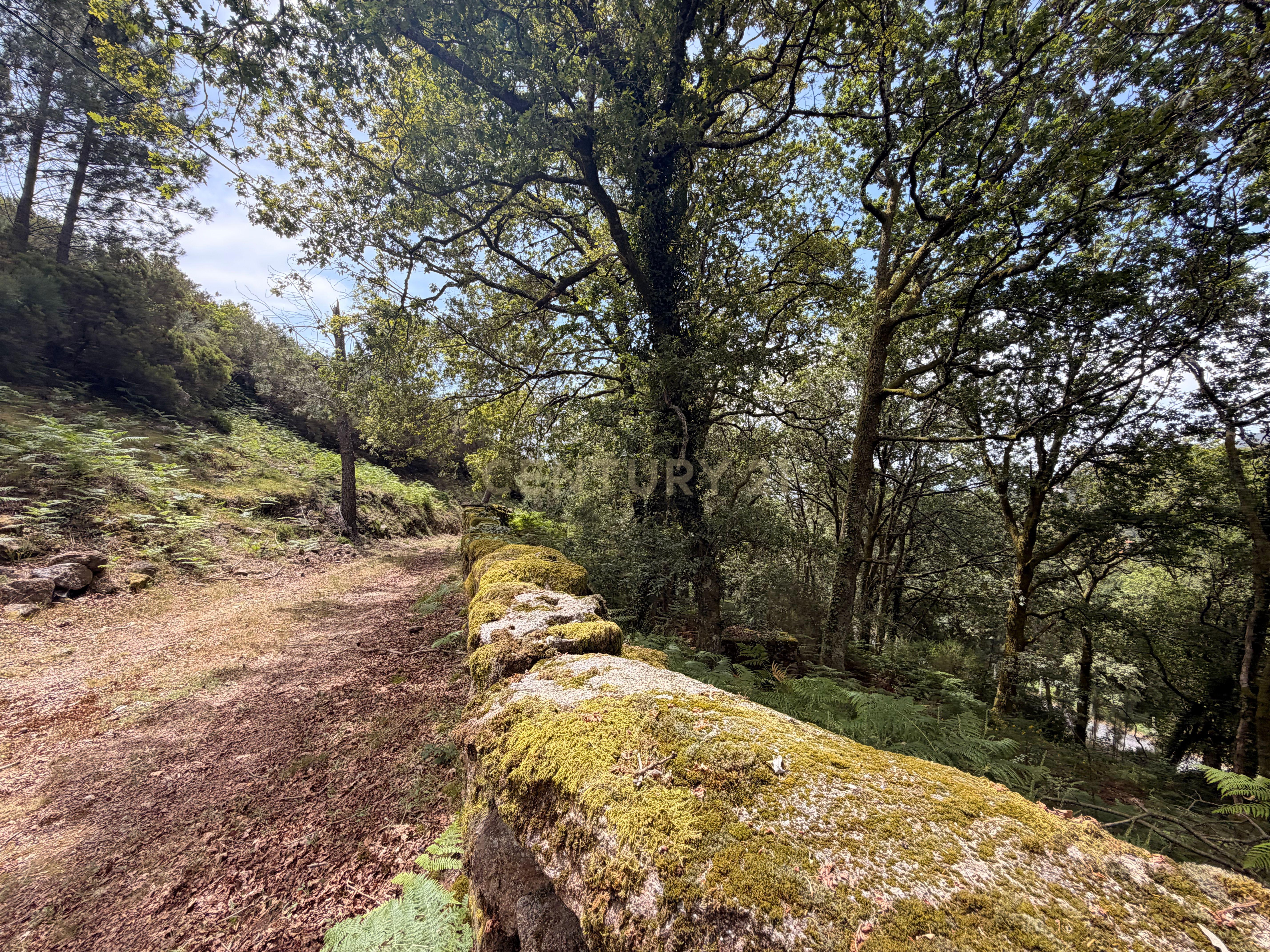 Moradia T1 à venda em Soajo, Arcos de Valdevez — foto 21