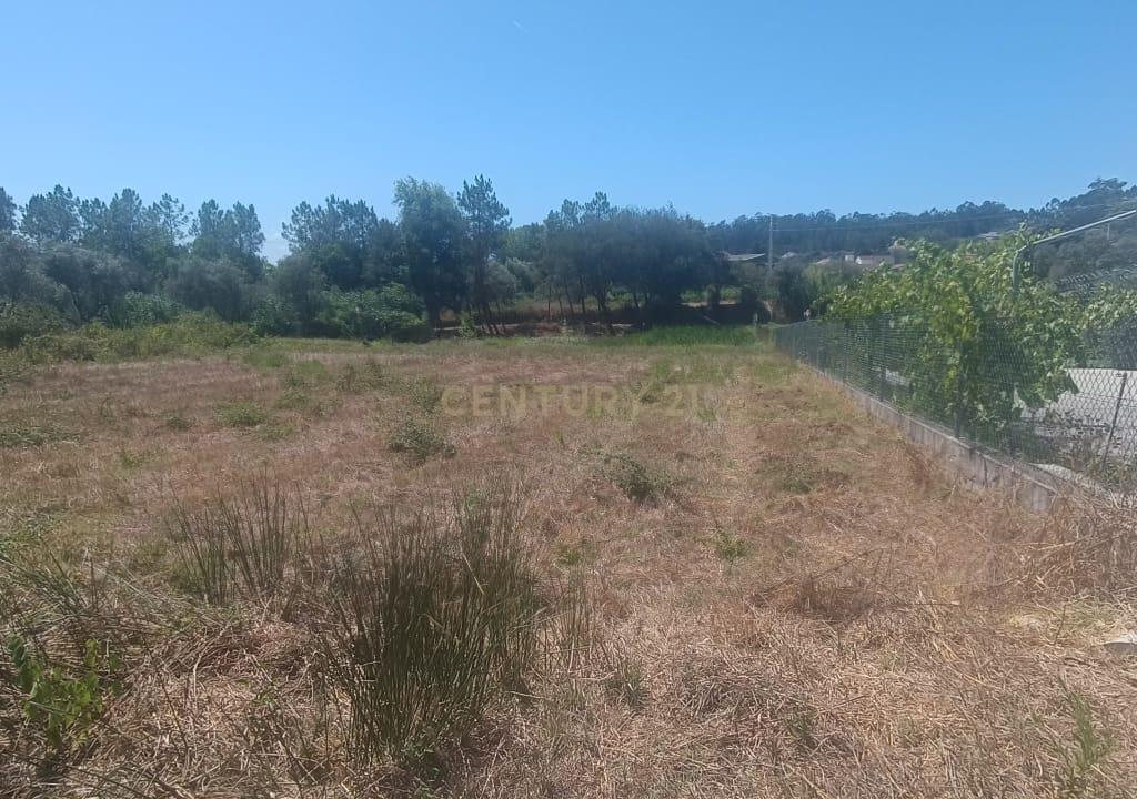 Terreno Rústico 2.970 m² em Milagres, Leiria - Image 3
