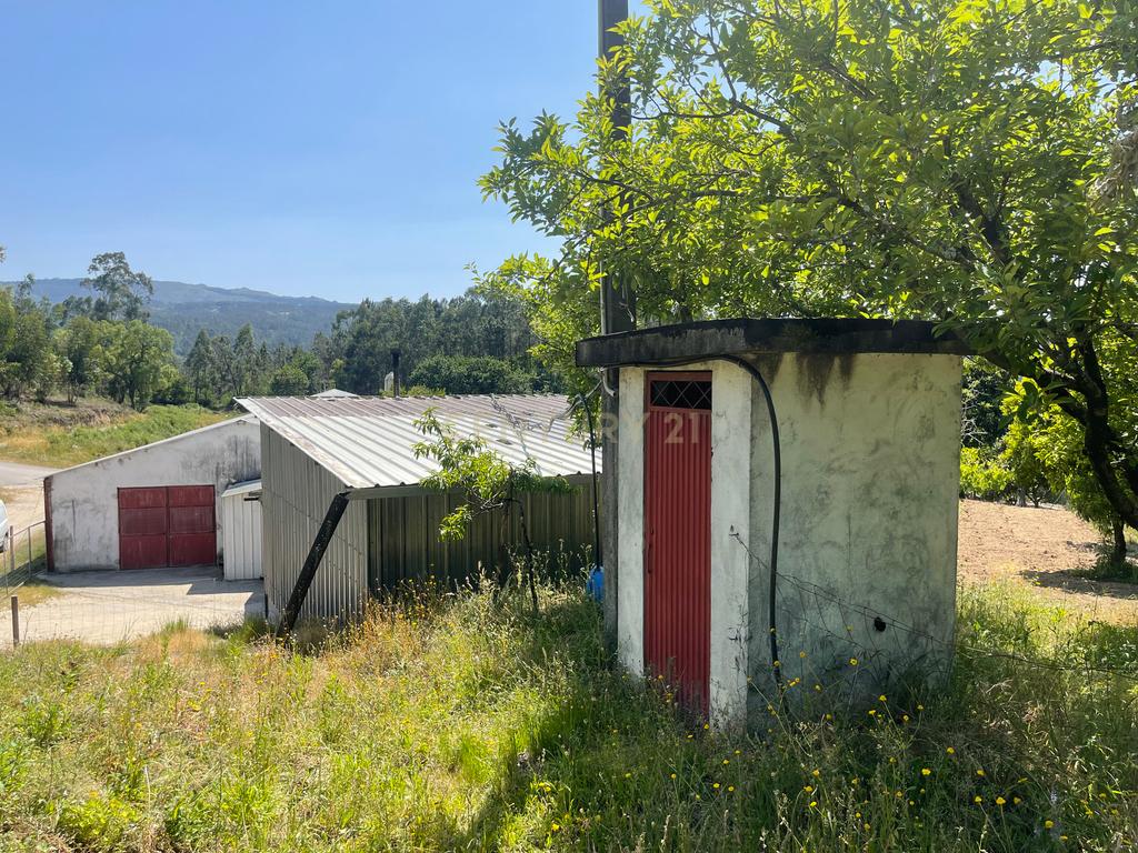 Terreno de 7.500 m² situado próximo ao lago, contendo uma casa a ser restaurada e um aviário automatizado altamente rentável. - Image 34