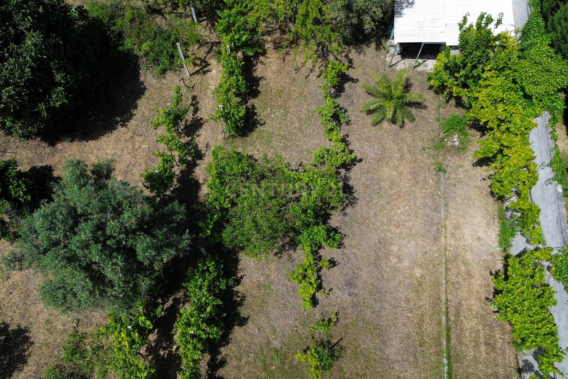 Moradia T3 com Jardim e Garagem em Santarém, Abrantes - Em Sistema de propostas Múltiplas - Image 13