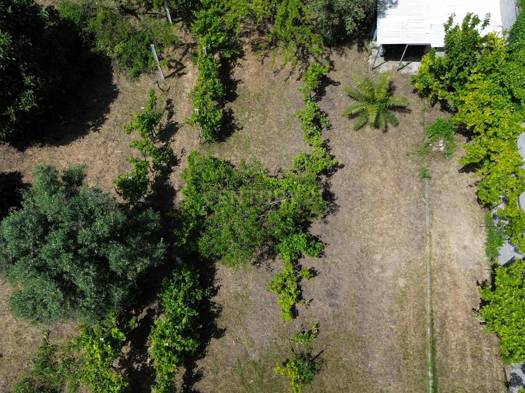 Moradia T3 com Jardim e Garagem em Santarém, Abrantes - Image 13