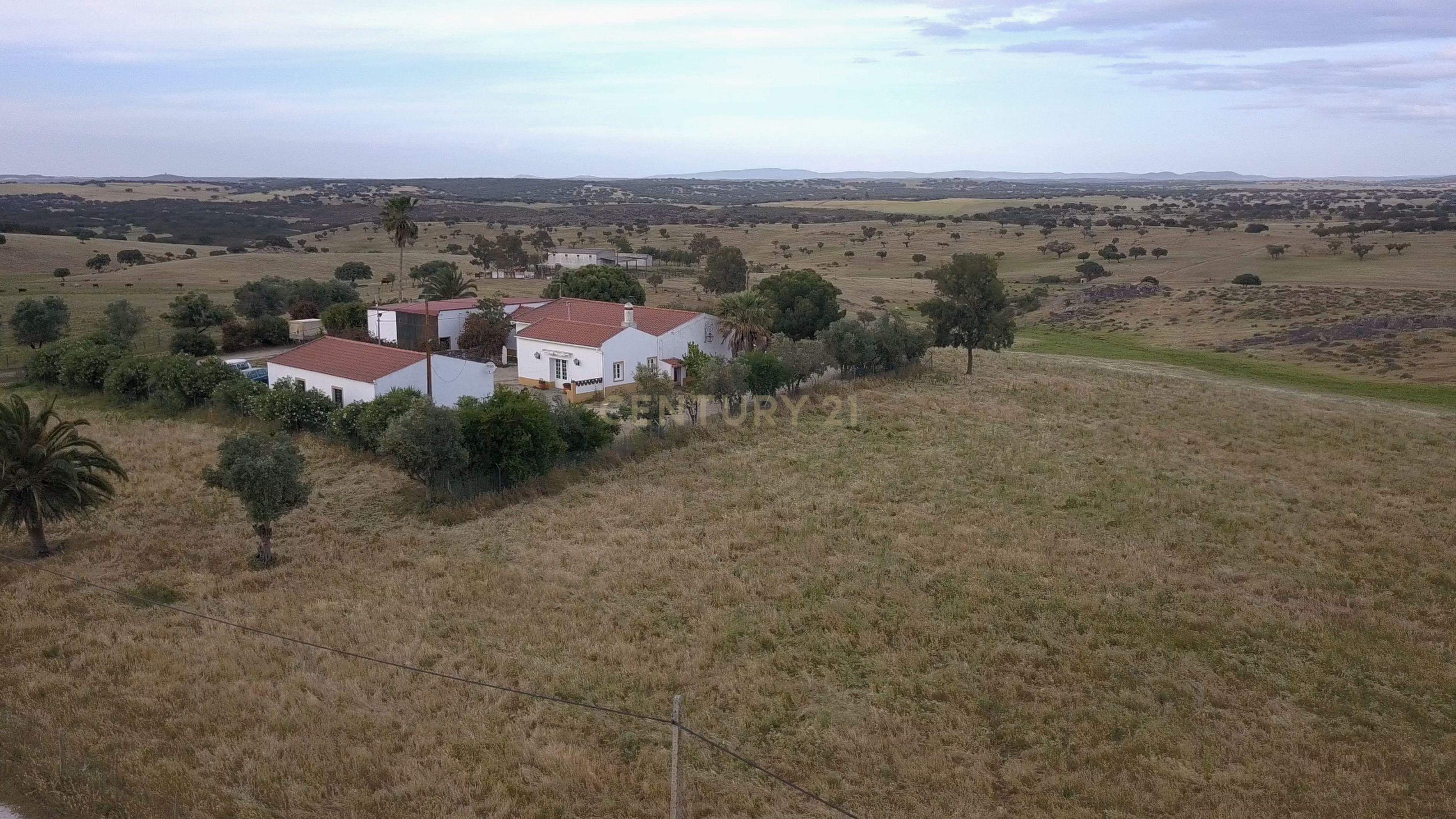 Fotografia 6 de Monte Alentejano - Herdade das Lavradias, Mourão