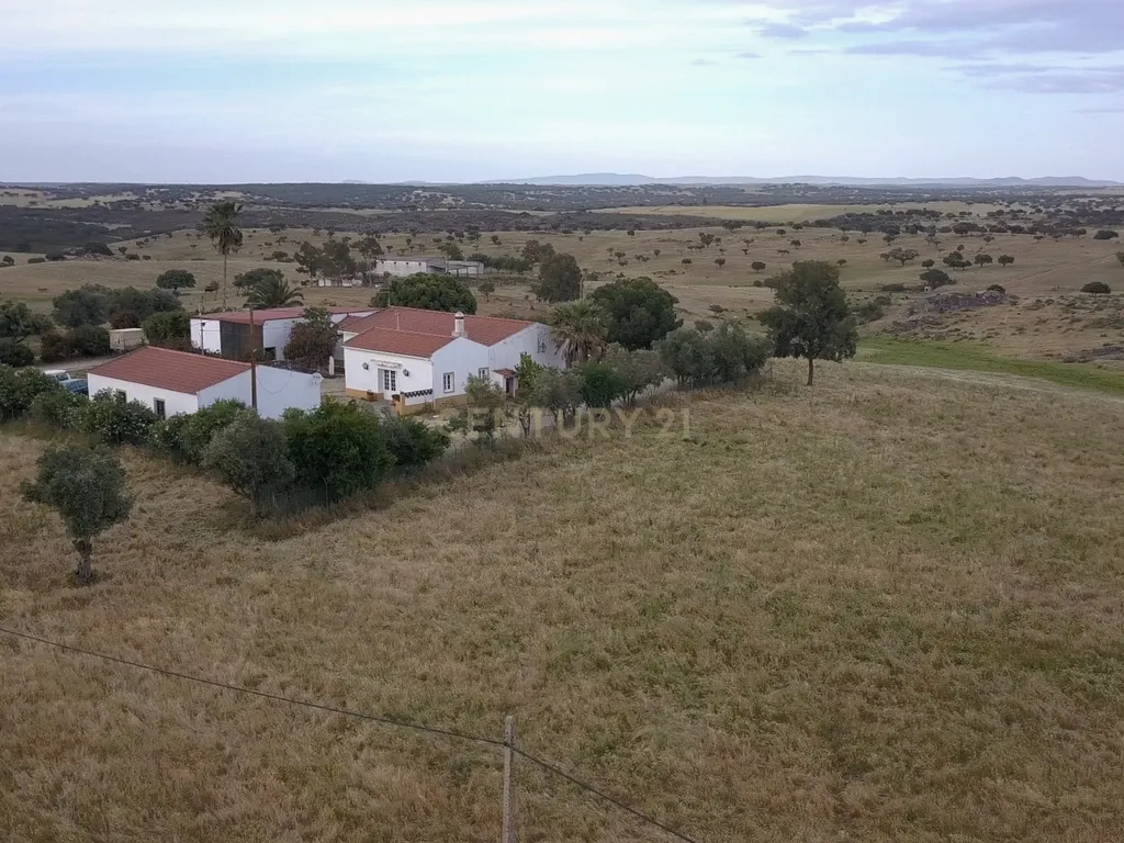 Monte Alentejano - Herdade das Lavradias, Mourão - Image 6