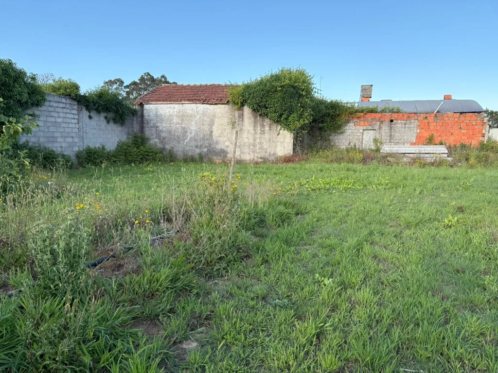 Espaçosa Moradia para Recuperar em Ouca, Vagos - Image 34