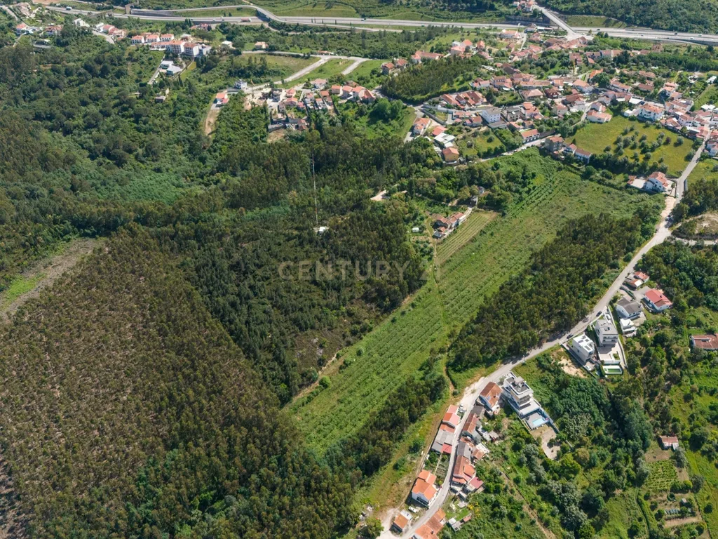 Quinta com 8 hectares com potencial para construção – Antanhol - Coimbra - Image 17