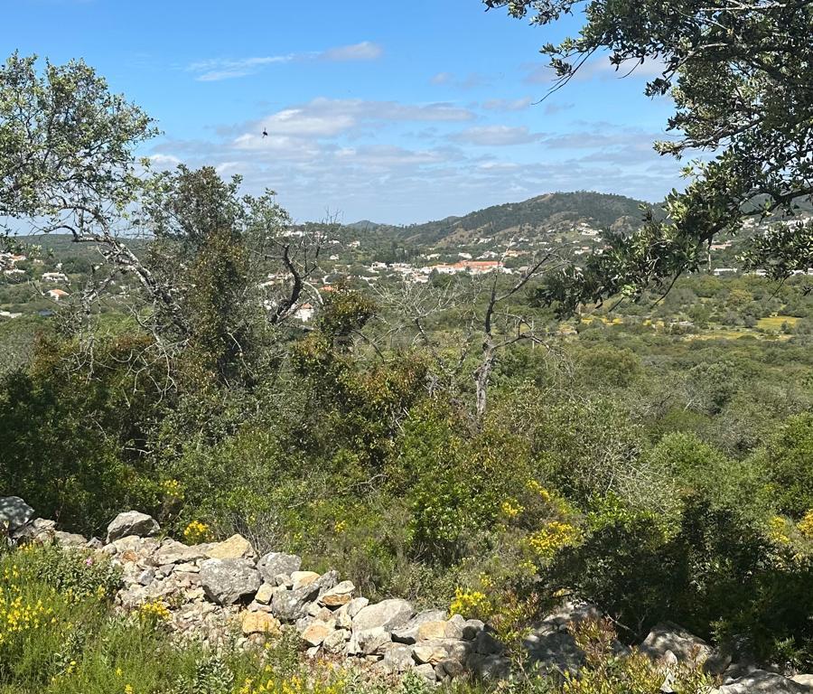 Ruina Moinho - Image 2