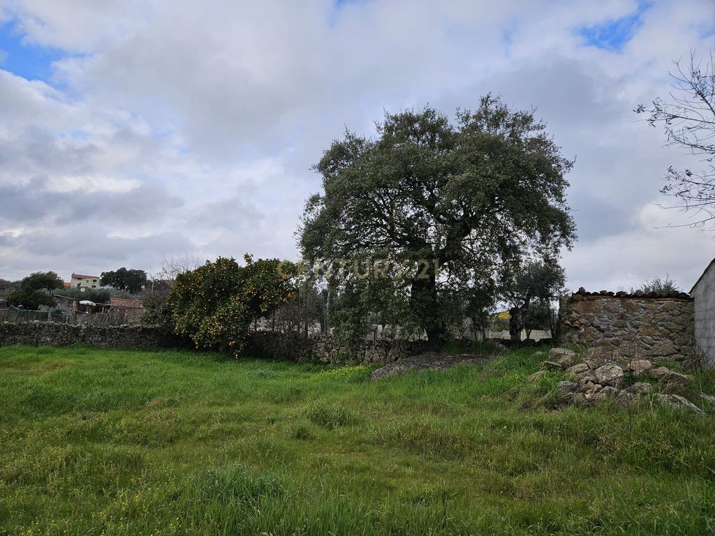 Quintinha na Lousa, Castelo Branco - Image 4