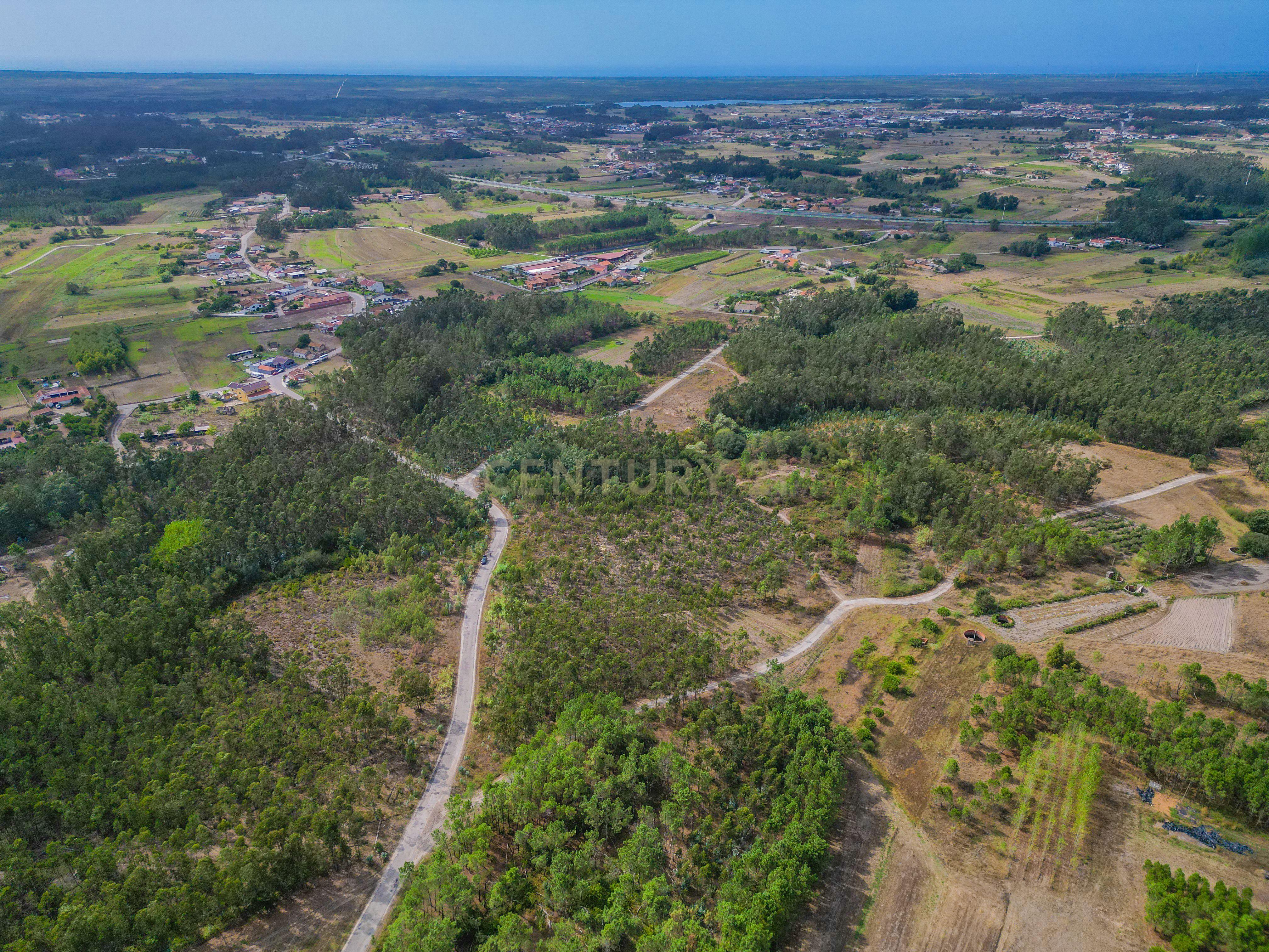 Fotografia 12 de Terreno rústico com cerca de 3.930,00 m² para venda em Lafrana de Cima – Figueira da Foz