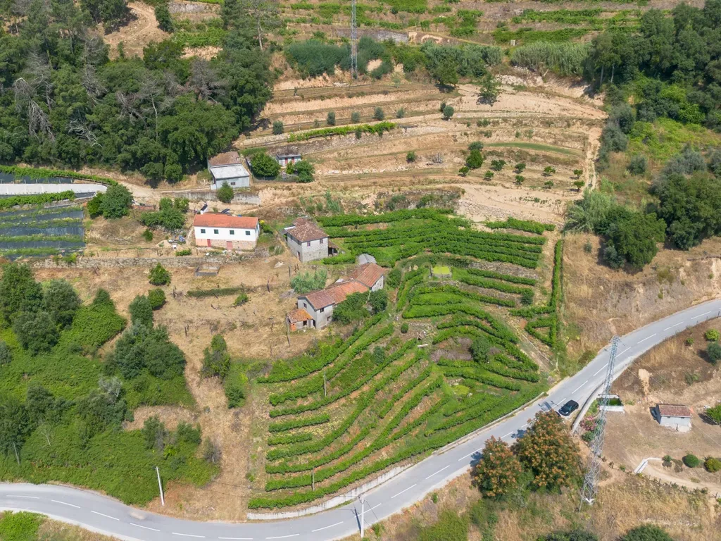 Quintinha com 2 casas em pedra para recuperar + 2 terrenos com vinhas-( 8.210m2 ) -Douro Vinhateiro! - Image 48