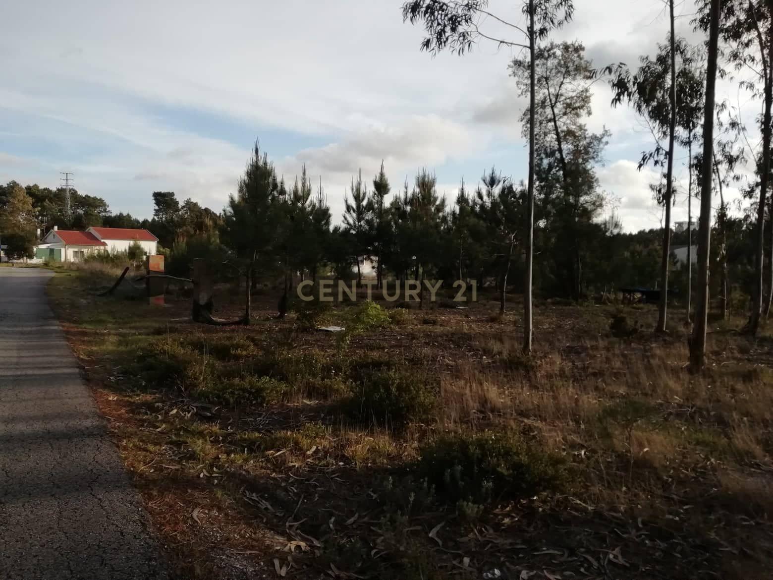 Terreno Rustico - Image 4