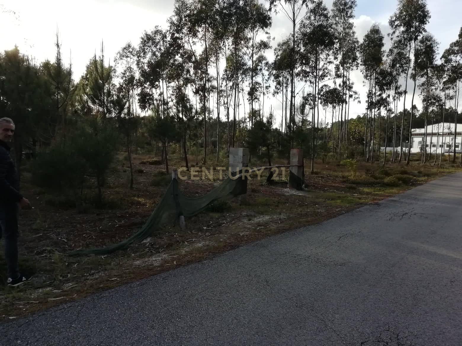 Terreno Rustico - Image 2